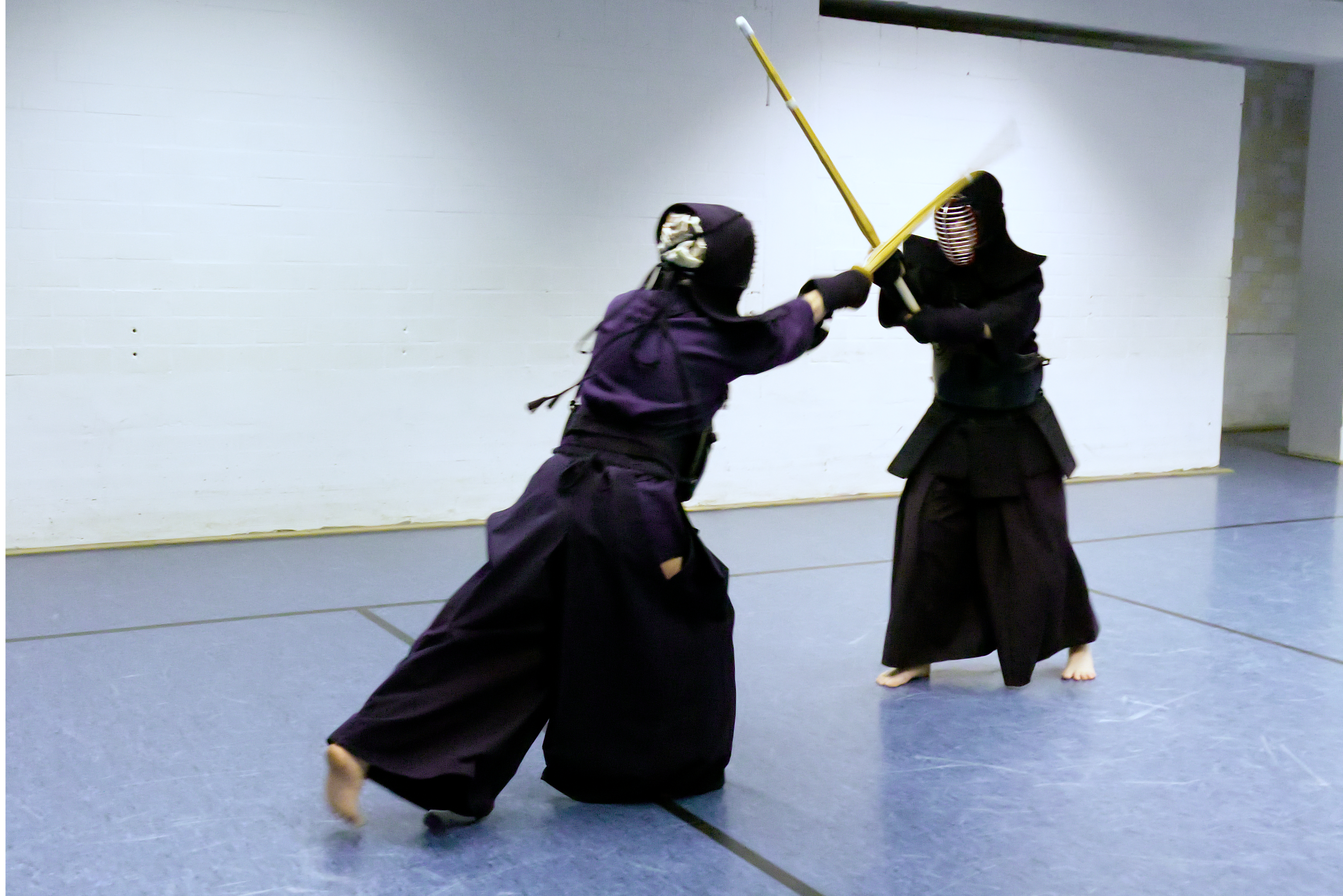Kendo Training